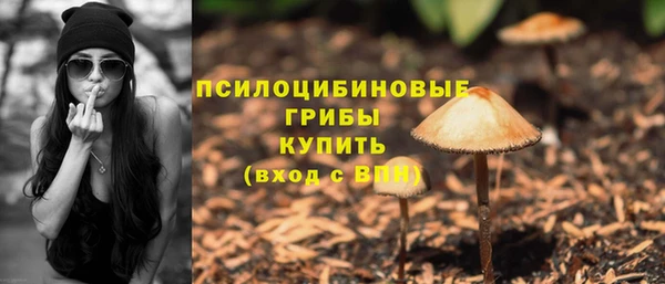 ешки Вязьма