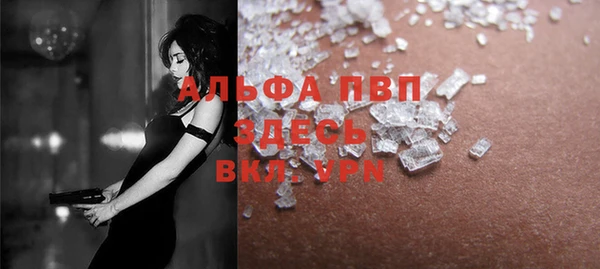 apvp Вяземский