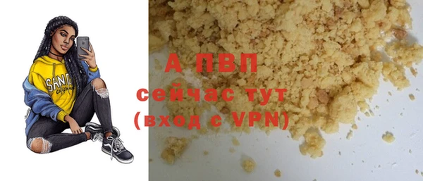 apvp Вяземский