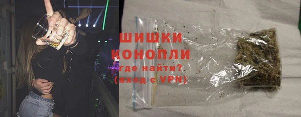 apvp Вяземский