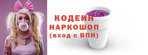 apvp Вяземский