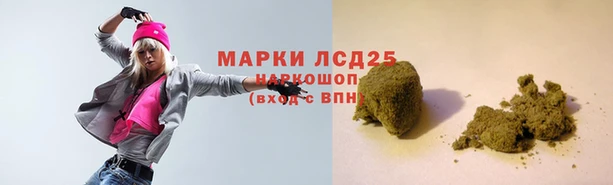 apvp Вяземский