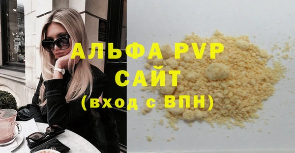 apvp Вяземский