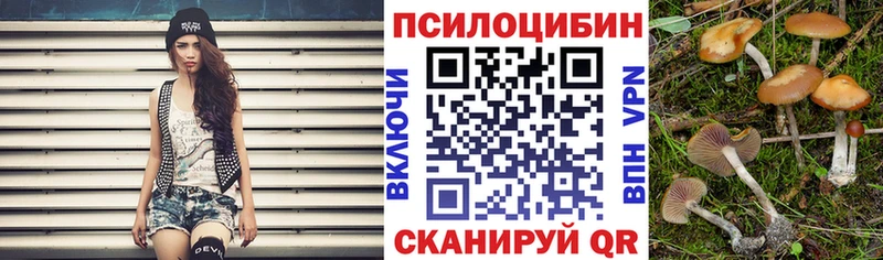 Галлюциногенные грибы GOLDEN TEACHER  Владивосток 